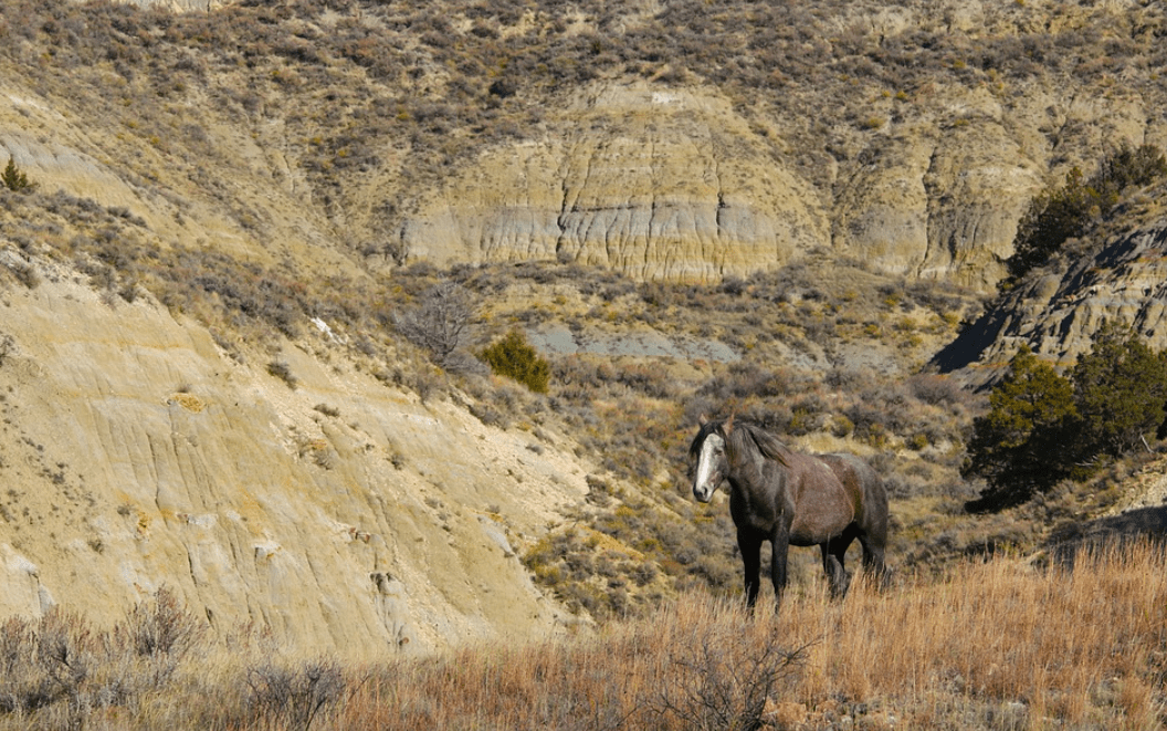 North Dakota offers you an amazing life experience